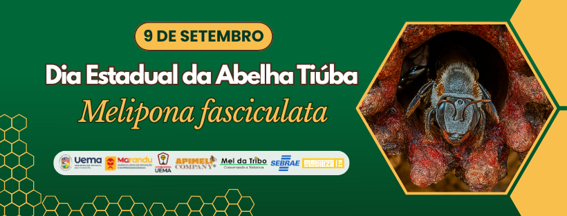 4º Encontro do Dia Estadual da Abelha Tiúba
